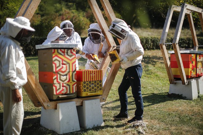 Obsojenci so pri projektu <em>Medena celica</em> z veseljem sodelovali, tako pri snovanju panja kot pri skrbi za čebele. FOTO: Uroš Hočevar/Delo