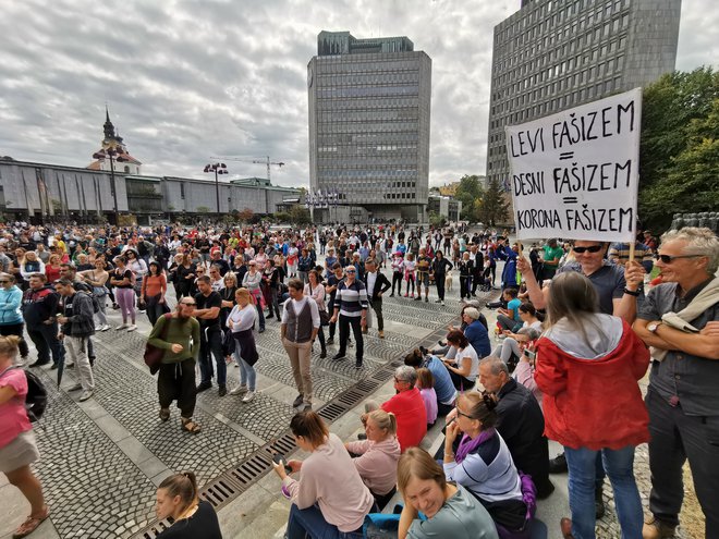 Na prijavljenem shodu se je zbralo nekaj sto ljudi. FOTO: Jože Suhadolnik/Delo