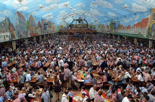 Oktoberfest, kot ga poznamo danes, se je začel leta 1950. Obiskovalci v dobrih dveh tednih običajno popijejo več kot sedem milijonov litrov piva, pojedo približno milijon piščančjih polovic, več kot 300.000 svinjskih klobas in več kot 100 volov&nbsp;...<br />
FOTO: Christof Stache/ AFP