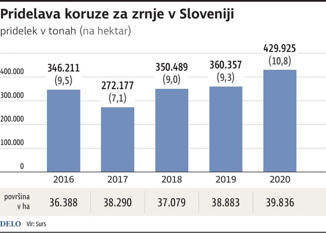 Pridelava koruze za zrnje v Sloveniji. INFOGRAFIKA: Gm Igd