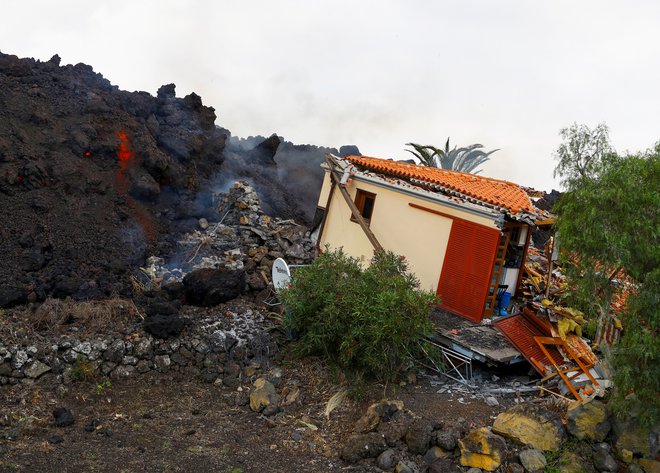 Gmote lave požirajo vse pred seboj. FOTO: Borja Suarez/Reuters