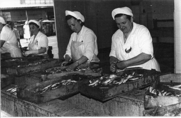 Delamarisove delavke v petdesetih letih prejšnjega stoletja. FOTO: Osebni arhiv Srečka Gombača//FisherCoast Exhibition