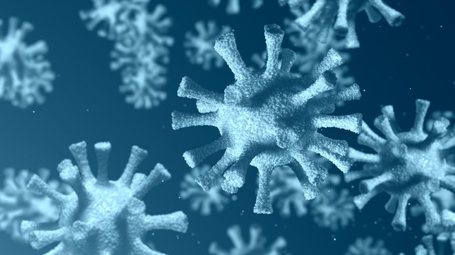 Delo Virus in filozofija&nbsp;je nastalo iz ljubezni do filozofije. FOTO: Shutterstock