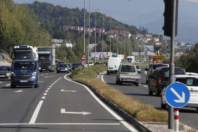 DRSI je v sodelovanju z Botaničnim vrtom na trzinski obvoznici poskusno dosadil avtohtone rastline.<br />
FOTO: Leon Vidic/Delo