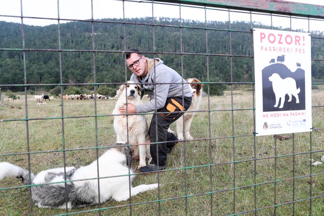 Novost je ureditev statusa pastirskih psov, ki so obravnavani enako kot drugi službeni psi. FOTO: Marko Feist