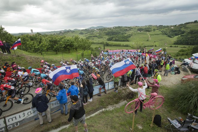 Giro d&#39;Italia je letos gostoval v Goriških Brdih. FOTO: Jure Eržen