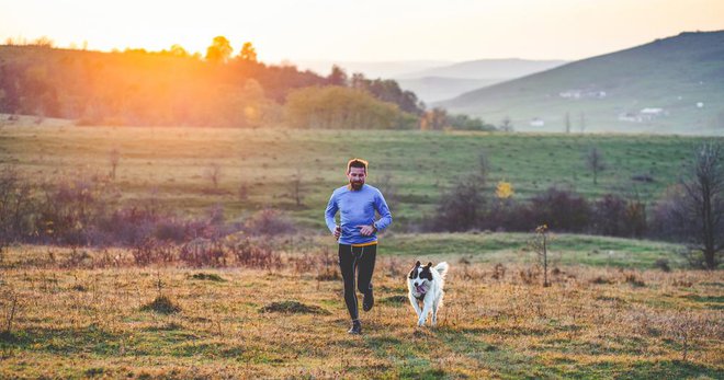 Če vam družba psa predstavlja dodatno obveznost in <strong>stres</strong>, ga ne vzemite s seboj in ga s kakšnim priboljškom pustite doma, kar tako, da vas bo lažje počakal. FOTO: Shutterstock