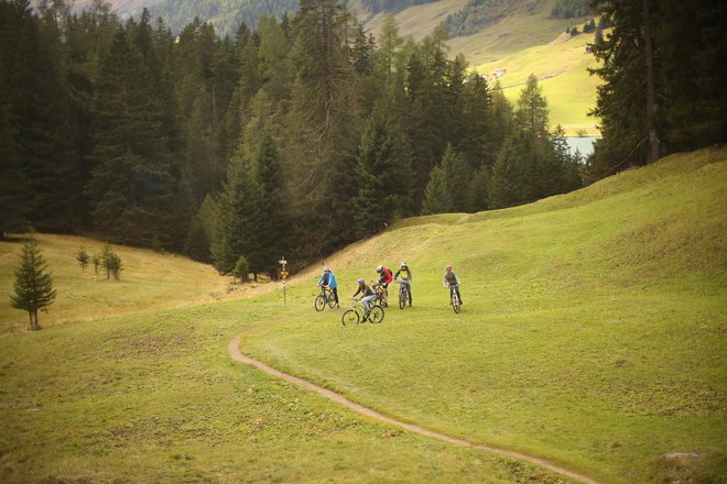 Hkrati z gradnjo slovenske kolesarske mreže poteka tudi izdelava evidenc kolesarskih poti po državi. FOTO: Jure Eržen/Delo