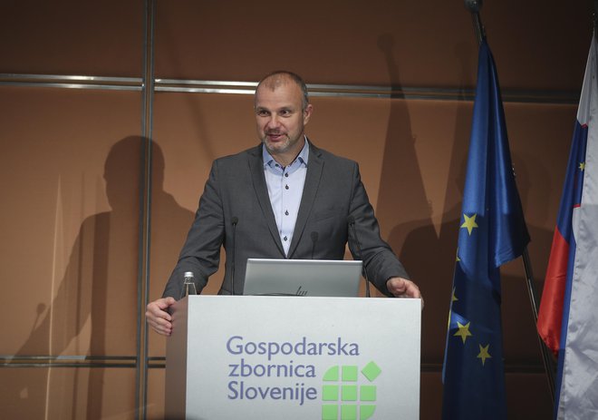 Po mnenju Aleša Cantaruttija, generalnega direktorja GZS, se spreminja tudi vloga podpornih institucij.  FOTO: Jože Suhadolnik/Delo