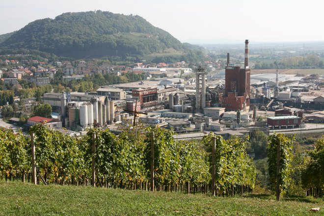 Vipap Videm je insolventen. FOTO: Janoš Zore/Delo