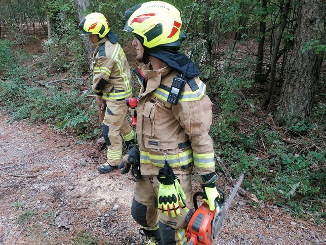 Na Kozini je neurje podrlo drevo in zaprlo gozdno cesto pod Videžem. Gasilci PGD Materija so podrto drevo odstranili. FOTO: PGD Materija