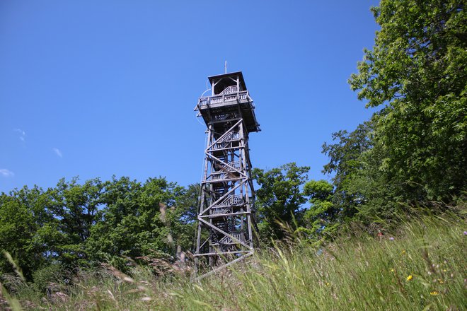 Stolp, najvišji leseni pri nas, je iz macesnovega lesa. FOTO: Vid Slana
