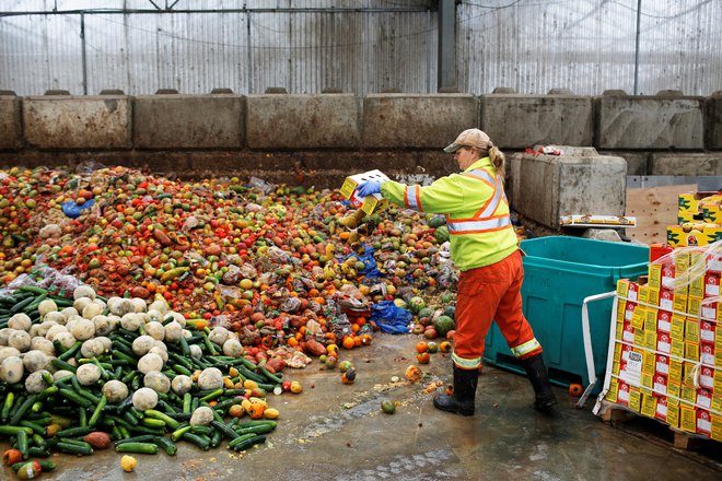 Vsako leto v svetu zavržemo ogromne količine še užitne hrane. FOTO: Ben Nelms/Reuters
