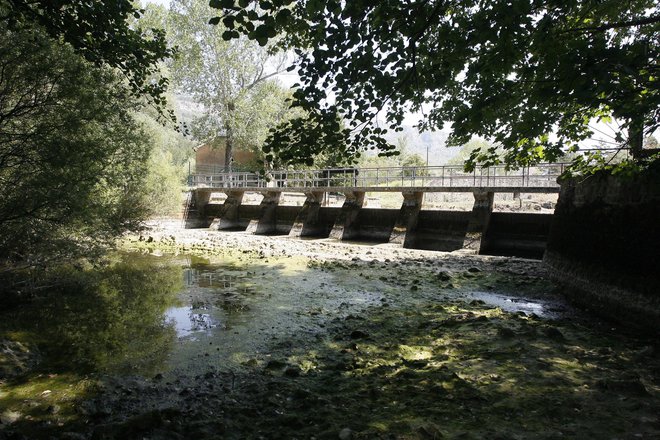 Reka Rižana tudi v teh jesenskih dneh slovenski Istri ne zmore zagotoviti dovolj pitne vode. FOTO:&nbsp; Mavric Pivk/Delo
