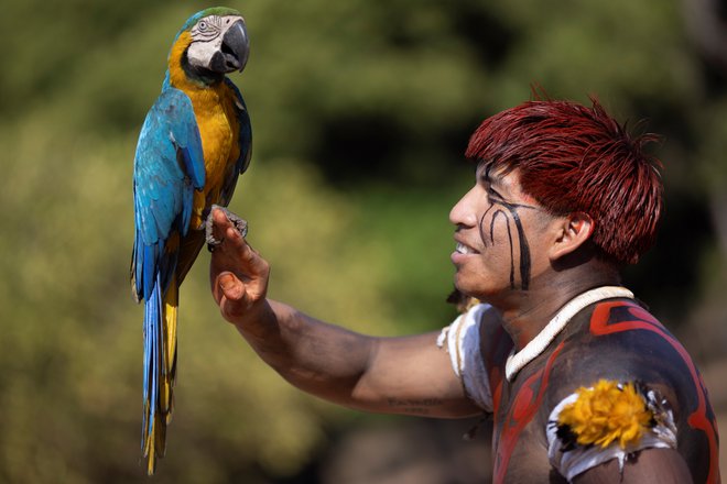 Portret člana brazilskega domorodnega plemena Yawalapita v avtohtonem parku Xingu. FOTO: Ueslei Marcelino/Reuters

&nbsp;

&nbsp;
