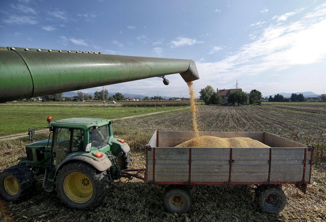 Modela študij JRC in USDA se osredotočata samo na vpliv zmanjšanja porabe pesticidov in gnojil ter povečanja ekoloških površin, ne upoštevata pa drugih sprememb, ki jih predlaga strategija. FOTO:&nbsp;Blaž Samec/Delo
