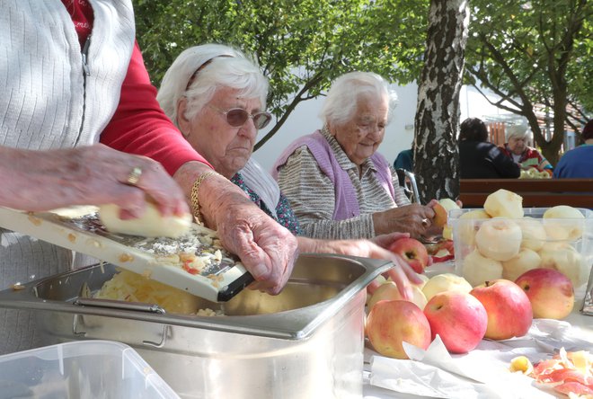 Sodobni zakoni o dolgotrajni oskrbi povežejo formalno in neformalno v celoto, ki dvigne kakovost oskrbe in krepi solidarnost v današnji družbi. Foto Dejan Javornik/Delo
