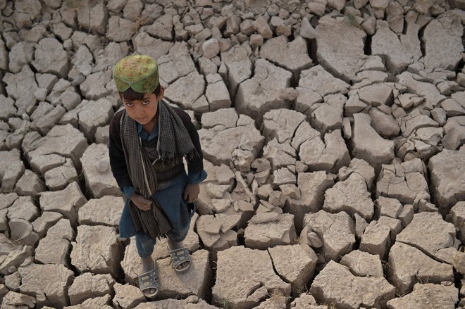 Suša v afganistanskem oddaljenem okrožju Bala Murghab, ki je posledica podnebnih sprememb, se je izkazala za veliko bolj smrtonosnega sovražnika, kot nedavni konflikti zaradi talibanskega prevzema oblasti v državi. FOTO: Hoshang Hashimi/Afp

&nbsp;
