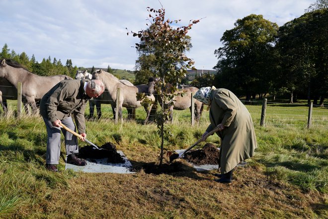 V zaletku meseca sta s sinom Charlesom otvorila pobudo Zelena krošnja, s katero kraljica pred platinastim jubilejem vladanja spodbuja podanike, da zasadijo drevo. FOTO: Andrew Milligan/Pool via Reuters
