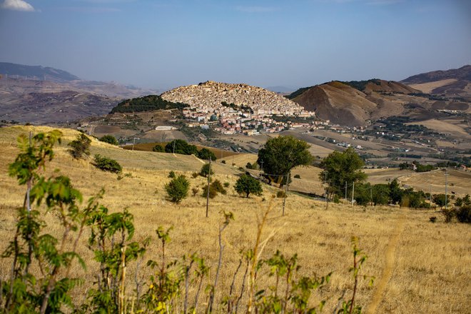 Gangi. FOTO: Voranc Vogel
