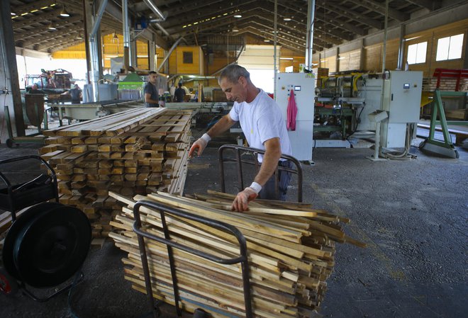 V lesnopredelovalni in pohištveni industriji se je od leta 2015 do 2020 povečalo povprečno število zaposlenih za 13,5 odstotka, čisti prihodki od prodaje za 24 odstotkov, dodana vrednost na zaposlenega za 23 odstotkov in neto čisti dobiček za 46 odstotkov. FOTO: Jože Suhadolnik/Delo
