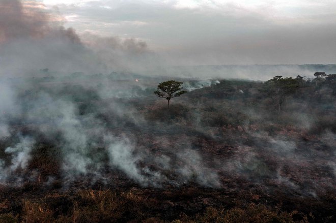 Pogled iz zraka na gozdni požar v naselju Porto Jofre, v brazilski zvezni državi Mato Grosso, septembra 2021 FOTO: Carl De Souza/AFP
