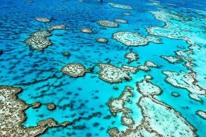 Veliki koralni greben FOTO: Shutterstock

