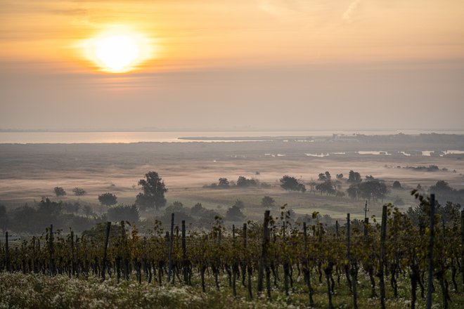 Pokrajina ob Nežiderskem jezeru ima 300 sončnih dni v letu; takšna je njena podoba v jesenskem soncu. FOTO: Burgenland Tourismus Gmbh/Birgit Machtinger
