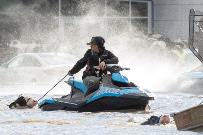 V jugovzhodni kanadski provinci Britanska Kolumbija so po več dneh obilnega deževja, ki je povzročilo obsežne poplave, za 14 dni razglasili izredne razmere in uvedli prepoved potovanj.. Domove je moralo zapustiti že več kot 17.000 ljudi. V plazu, ki se je sprožil ob deževju, je umrla ženska, več ljudi pa pogrešajo. FOTO: Jennifer Gauthier/Reuters
