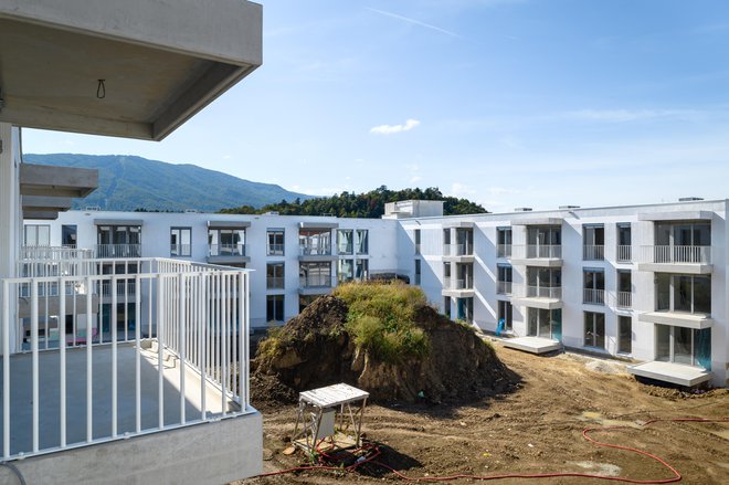 Arhitekti so v sosesko vpeljali veliko javnih ozelenjenih površin in ustvarili večji osrednji trg. Foto Miran Kambič
