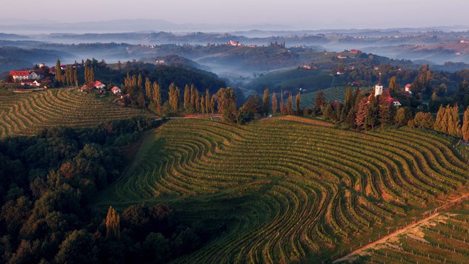 Ko se po dolinicah med terasastimi griči še vlačijo bele meglice, vzhajajoče sonce že osvetljuje grebene z visokimi jagnedi, kletmi in domačijami&nbsp;... FOTO: JZTKŠ Ormož
