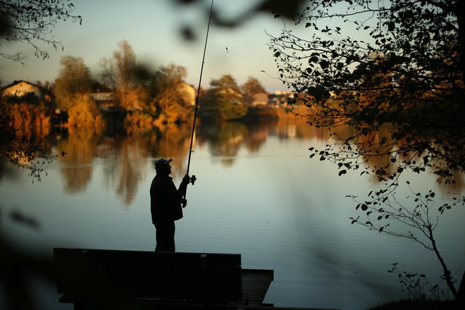 Upravičena in premišljeno definirana lenoba je vir zdravja. FOTO:&nbsp;Jure Eržen/Delo
