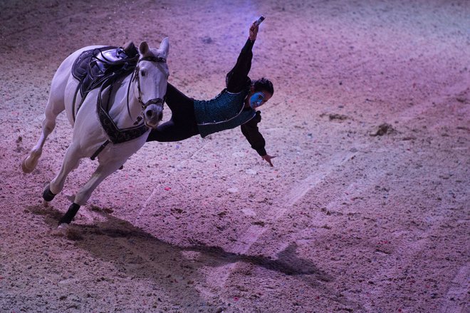 Nastop na mednarodni razstavi konj Sicab 2021 v Sevilli, ki je trajala do nedelje 21. novembra. Razstava jer bila namenjena izključno čistokrvnim španskim konjem. FOTO: Jorge Guerrero/Afp
