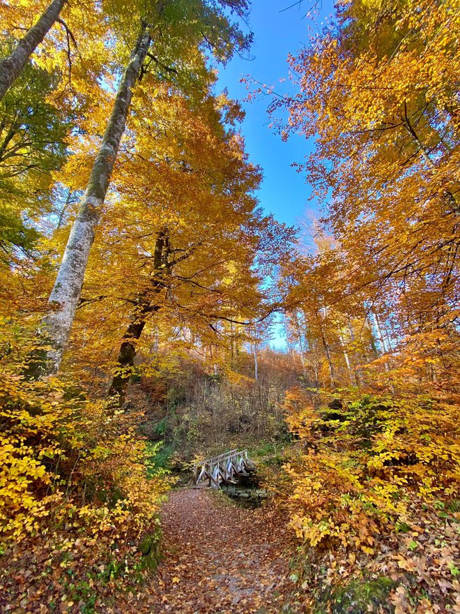 Tudi med potepanjem po okolici je mogoče najti veliko zanimivosti. FOTO: NMS
