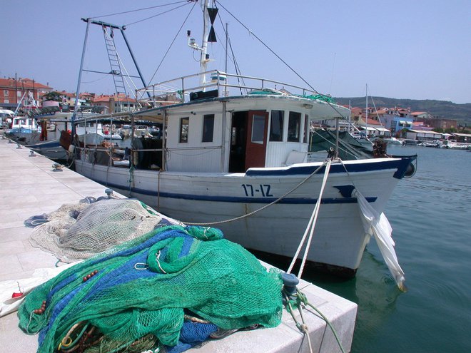 Ribiči so bili z lanskim ulovom zadovoljni, letos pa so razmere, kot pravijo, katastrofalne. FOTO:&nbsp; Boris Šuligoj/Delo
