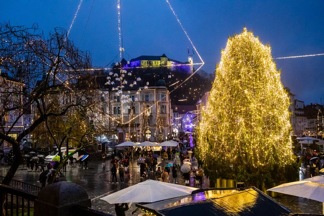 Ljubljana se je za mesec in pol odela v praznično obleko, saj bodo luči gorele do 16. januarja. FOTO: Črt Piksi/Delo
