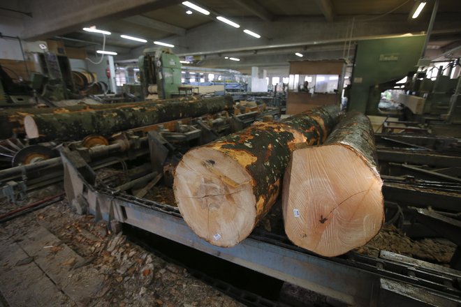 Snežnik Kočevska Reka, hčerinska družba SIDG, na leto razžaga 60.000 kubičnih metrov hlodovine. FOTO: Jože Suhadolnik/Delo
