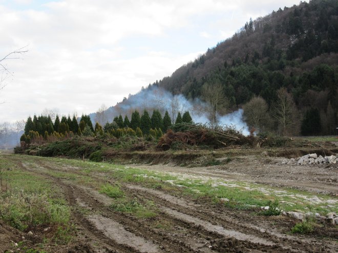 Dim se je valil z območja nekdanje drevesnice, kjer je večji del dreves posekan. FOTO: Špela Kuralt/Delo
