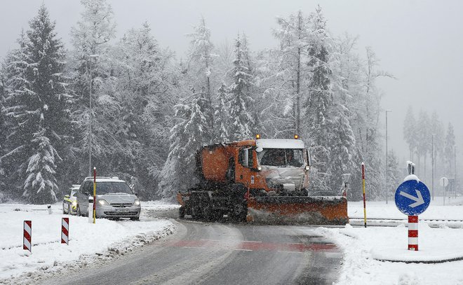 Fotografija je arhivska. FOTO: Blaž Samec/Delo
