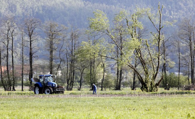 Komisija je med drugim opozorila na preveliko razpršenost ukrepov, zlasti na področju okolja. FOTO: Mavric Pivk
