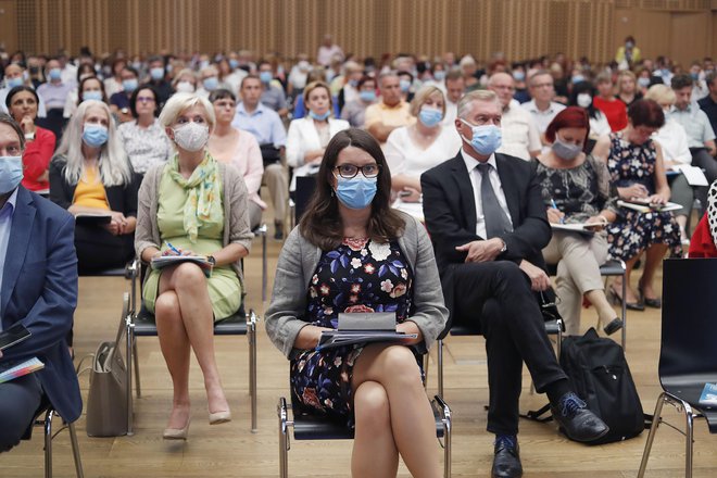 Stroka meni, da bi bila izbira ravnatelja, če bo sprejeta predlagana novela zakona, odvisna od politike. FOTO: Leon Vidic/Delo
