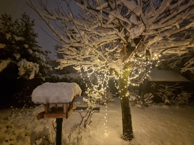 Sneženje bo intenzivno, večina v času šestih ur. FOTO: Boštjan Videmšek
