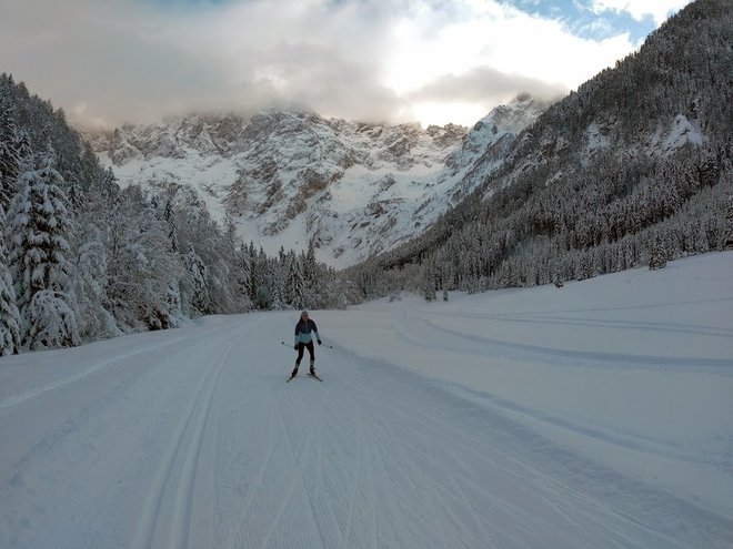 Vedeti moramo, da drsenje smuči po snegu omogoča zelo tanek vodni film, ki se zaradi trenja ustvari med snegom in drsno oblogo smuči. FOTO:&nbsp;Miroslav Cvjetičanin/Delo
