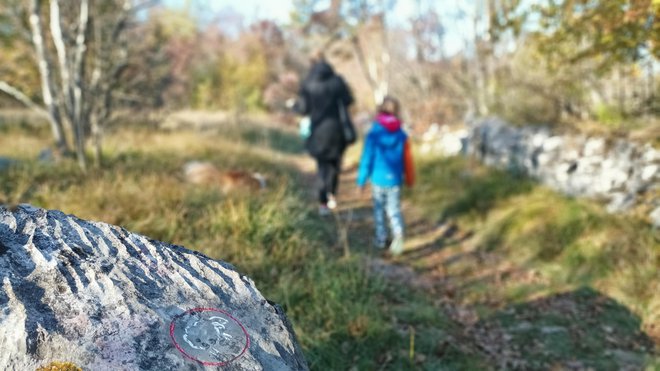 Pred tisočletji je imel Kras več prebivalcev kot danes. FOTO: Mitja Felc
