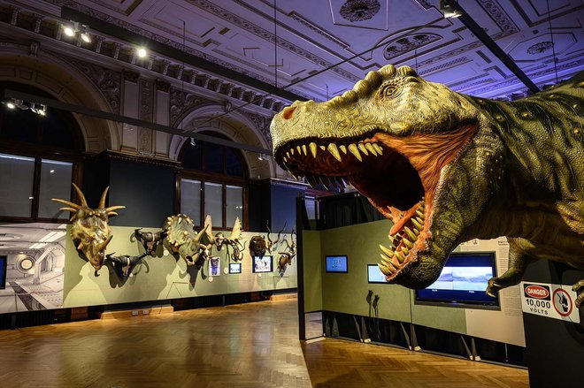 Hannovrska razstava o dinozavrih na filmu je do aprila na ogled na Dunaju Foto Christina Rittmannsperger/Prirodoslovni muzej Dunaj

