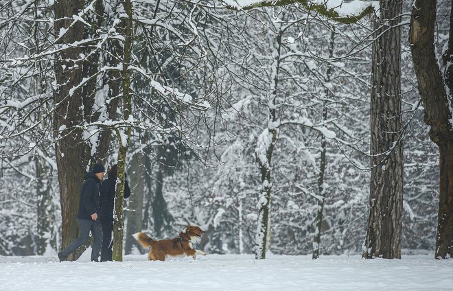 V Ljubljani je bil zadnjič sneg za božič leta 2003, v zadnjih 60 letih pa je bila sicer bela tretjina božičev. FOTO:&nbsp;Jože Suhadolnik/Delo
