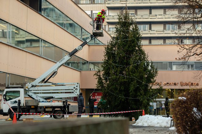 UKC Ljubljana je v zahvalo za požrtvovalnost zdravstvenih delavcev pri obvladovanju epidemije covida-19 sredi decembra družba Slovenski državni gozdovi podarila božično drevo.&nbsp; Foto Črt Piksi
