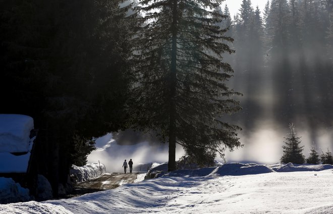 Triglavski narodni park&nbsp;upravlja 83 koč in stanov. Če bi varstveni režim razrahljali, bi ti objekti lahko postali odličen poslovni model, svari Bojan Traven. FOTO: Matej Družnik/Delo
