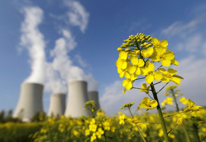 Hladilni stopli jedrske elektrarne Temelin.

FOTO: David W Cerny/REUTERS
