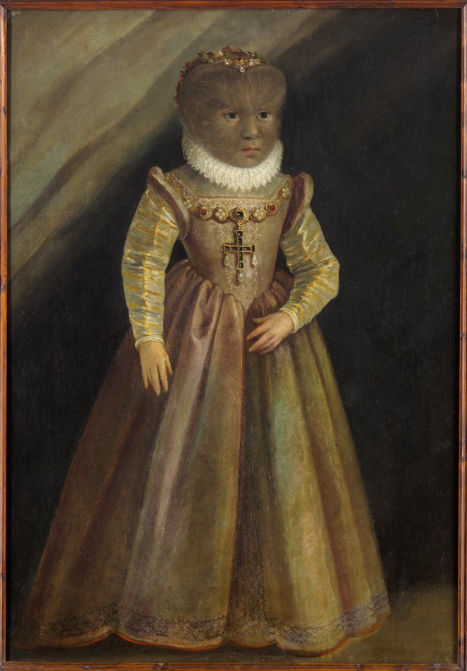 Pravljico Lepotica in zver povezujejo tudi zgodbo Magdalene González (oziroma Madelene Gonsalvas), članice družine z gensko boleznijo, zaradi katere je imela telo pokrito z dlakami. Njen portret iz 16. stoletja iz Avstrije je zdaj na ogled v New Yorku. FOTO: KHM-Museumsverband
